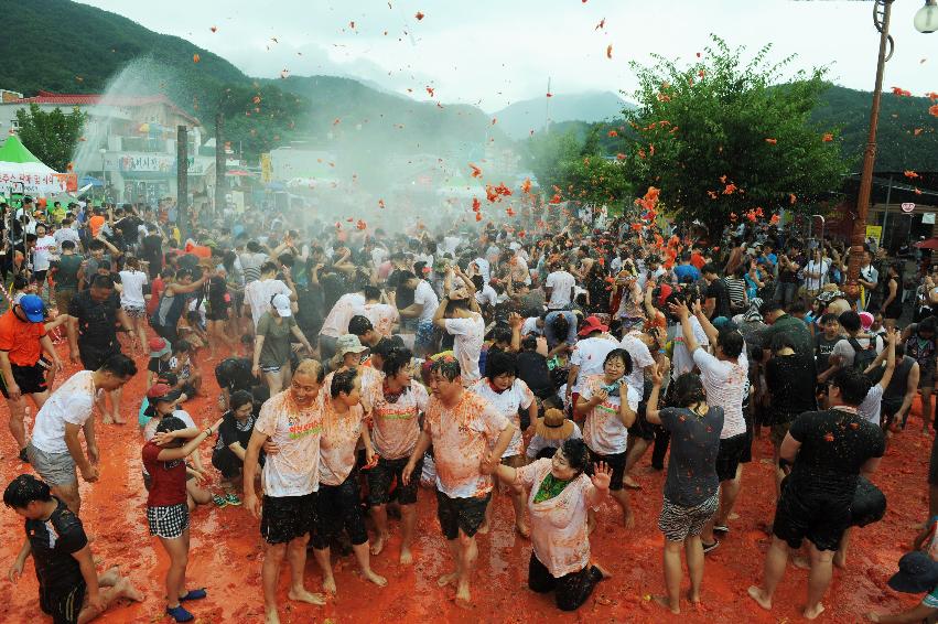 2016 화천토마토축제장 전경 의 사진