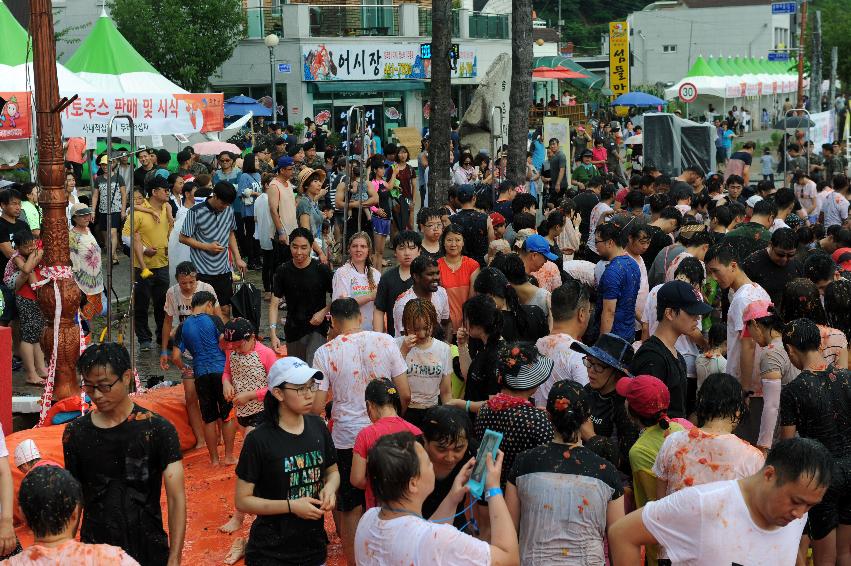 2016 화천토마토축제장 전경 의 사진