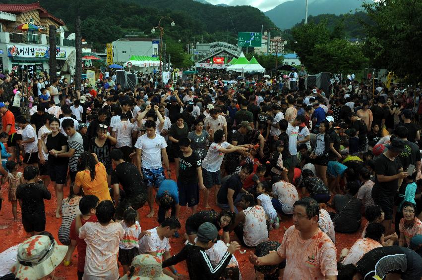 2016 화천토마토축제장 전경 의 사진