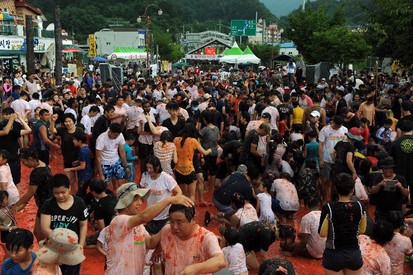 2016 화천토마토축제장 전경 의 사진