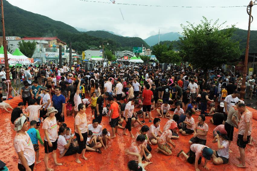 2016 화천토마토축제장 전경 의 사진