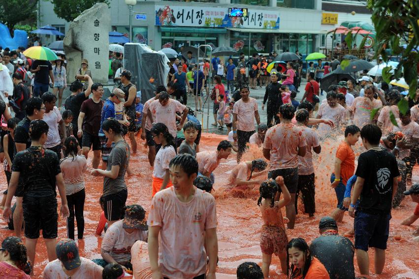 2016 화천토마토축제장 전경 의 사진