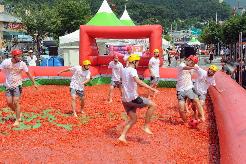 2016 화천토마토축제장 전경 사진