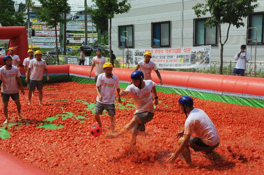 2016 화천토마토축제장 전경 의 사진