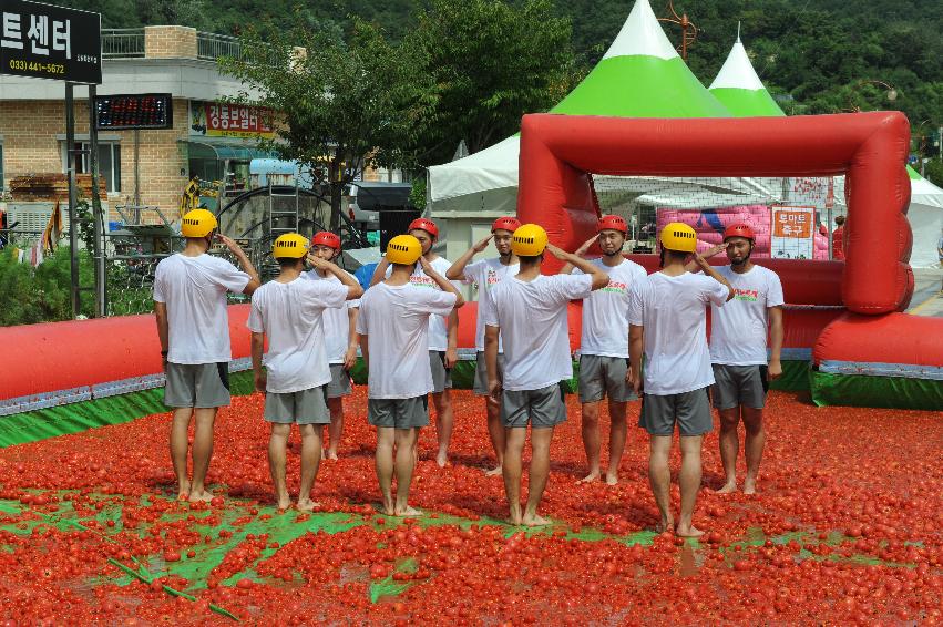 2016 화천토마토축제장 전경 의 사진