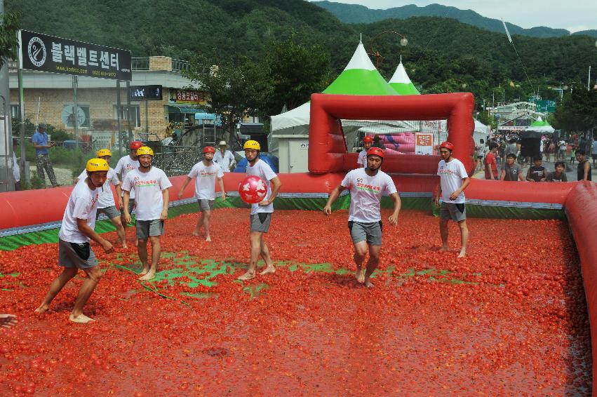 2016 화천토마토축제장 전경 의 사진