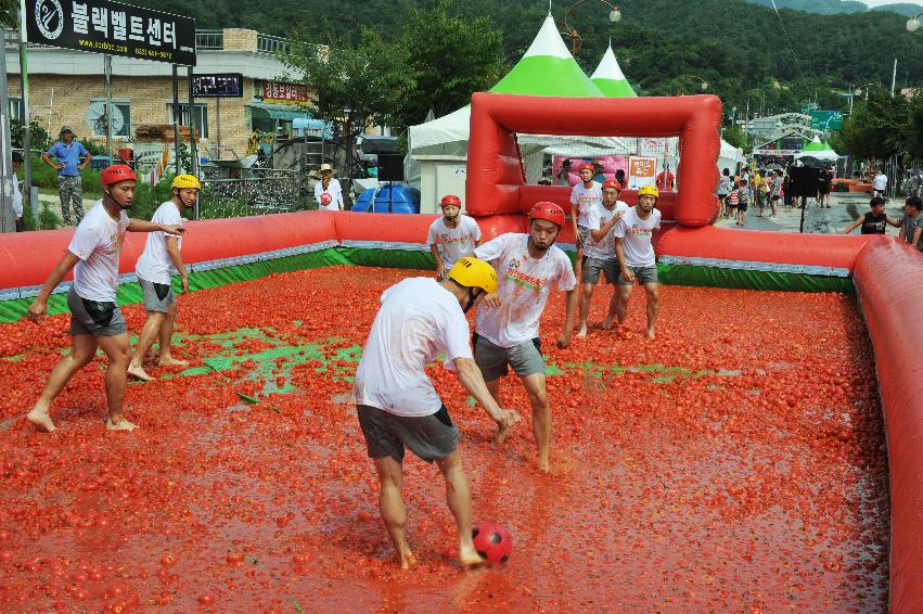 2016 화천토마토축제장 전경 의 사진