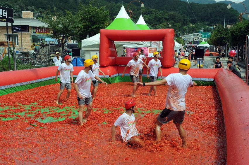 2016 화천토마토축제장 전경 의 사진