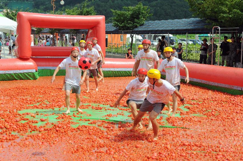 2016 화천토마토축제장 전경 의 사진