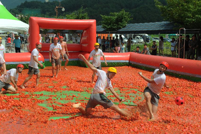 2016 화천토마토축제장 전경 의 사진