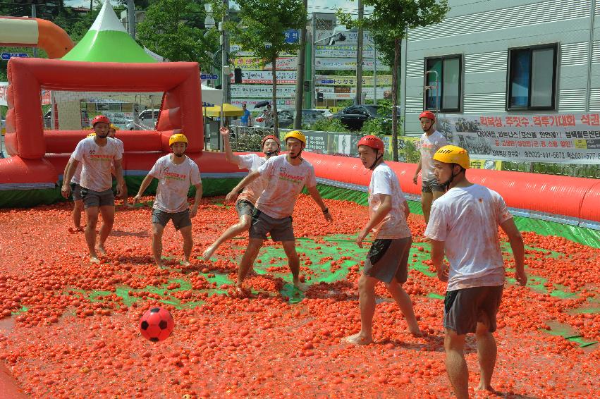 2016 화천토마토축제장 전경 의 사진