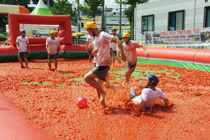 2016 화천토마토축제장 전경 의 사진