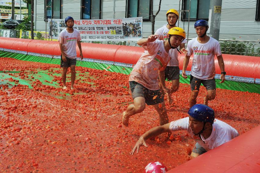 2016 화천토마토축제장 전경 의 사진