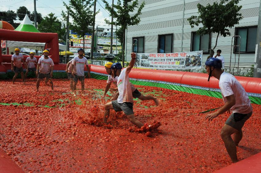 2016 화천토마토축제장 전경 의 사진