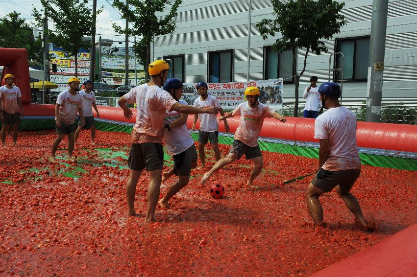 2016 화천토마토축제장 전경 의 사진