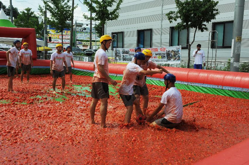 2016 화천토마토축제장 전경 의 사진