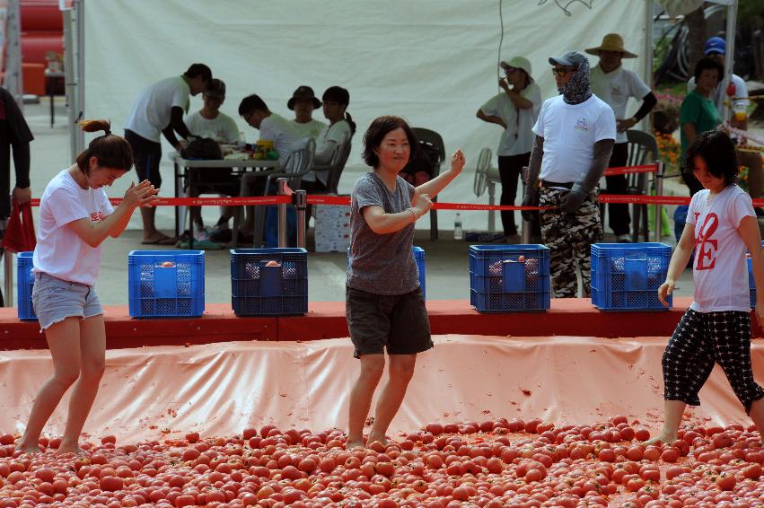 2016 화천토마토축제장 전경 의 사진