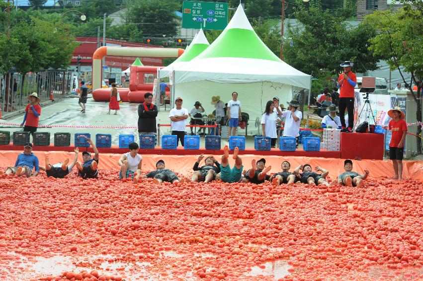 2016 화천토마토축제장 전경 의 사진