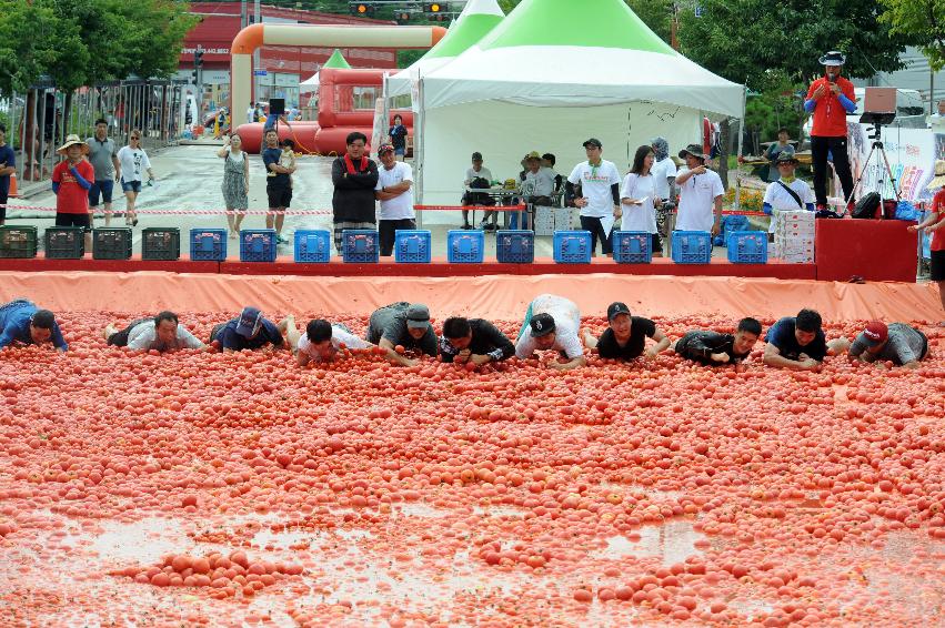 2016 화천토마토축제장 전경 의 사진