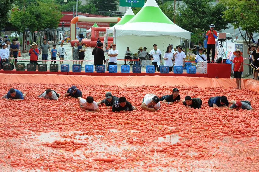 2016 화천토마토축제장 전경 의 사진