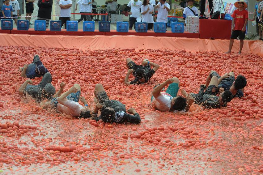 2016 화천토마토축제장 전경 의 사진