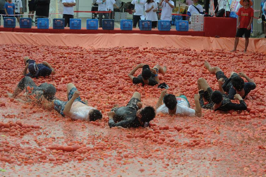 2016 화천토마토축제장 전경 의 사진