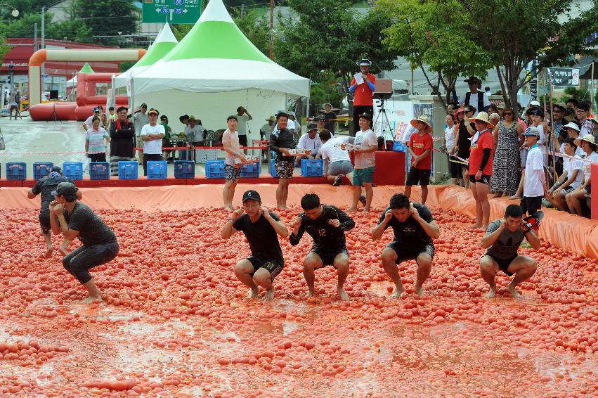 2016 화천토마토축제장 전경 의 사진