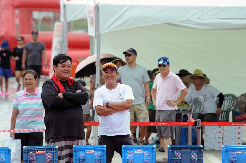 2016 화천토마토축제장 전경 의 사진