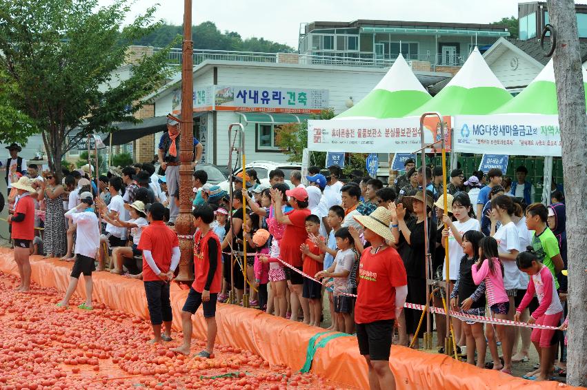 2016 화천토마토축제장 전경 의 사진