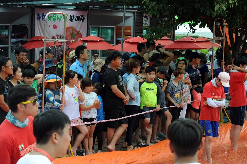 2016 화천토마토축제장 전경 의 사진