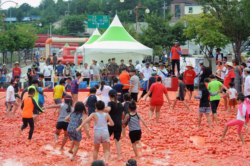 2016 화천토마토축제장 전경 의 사진