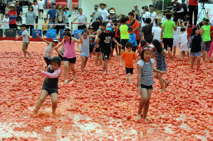 2016 화천토마토축제장 전경 의 사진