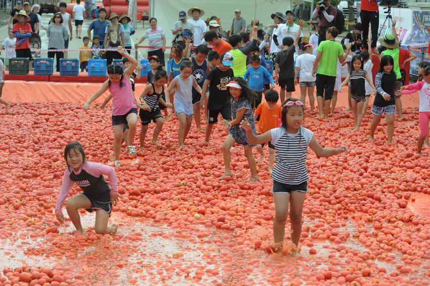 2016 화천토마토축제장 전경 의 사진