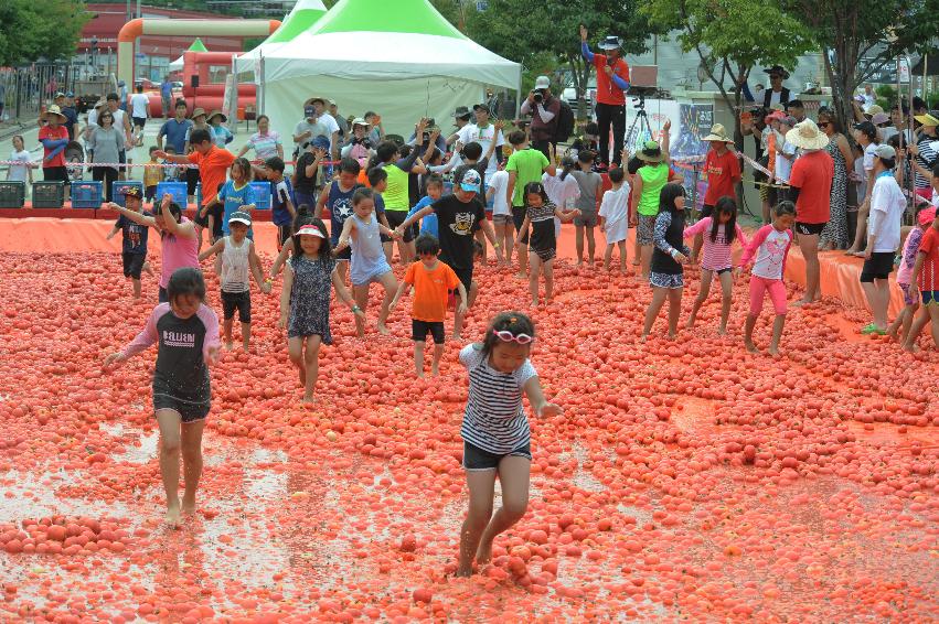 2016 화천토마토축제장 전경 의 사진