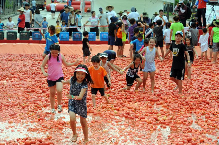 2016 화천토마토축제장 전경 의 사진