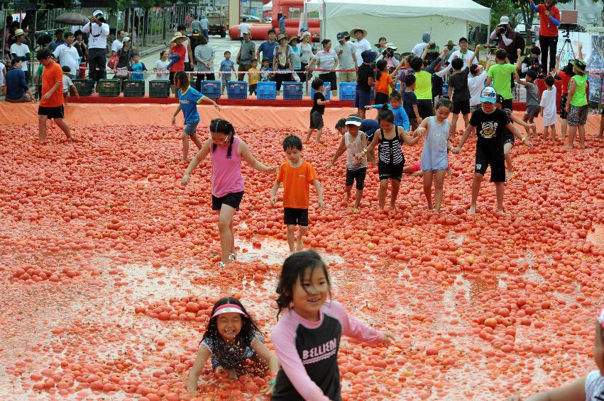 2016 화천토마토축제장 전경 의 사진