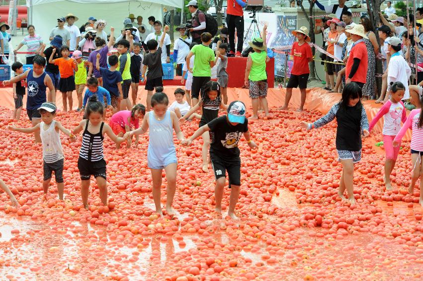 2016 화천토마토축제장 전경 의 사진