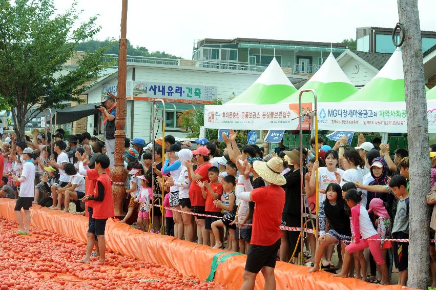 2016 화천토마토축제장 전경 의 사진