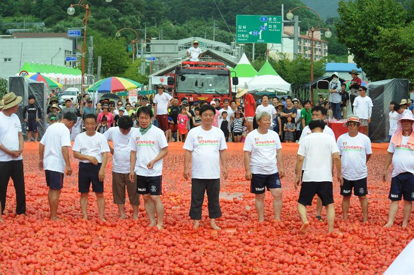 2016 화천토마토축제장 전경 의 사진