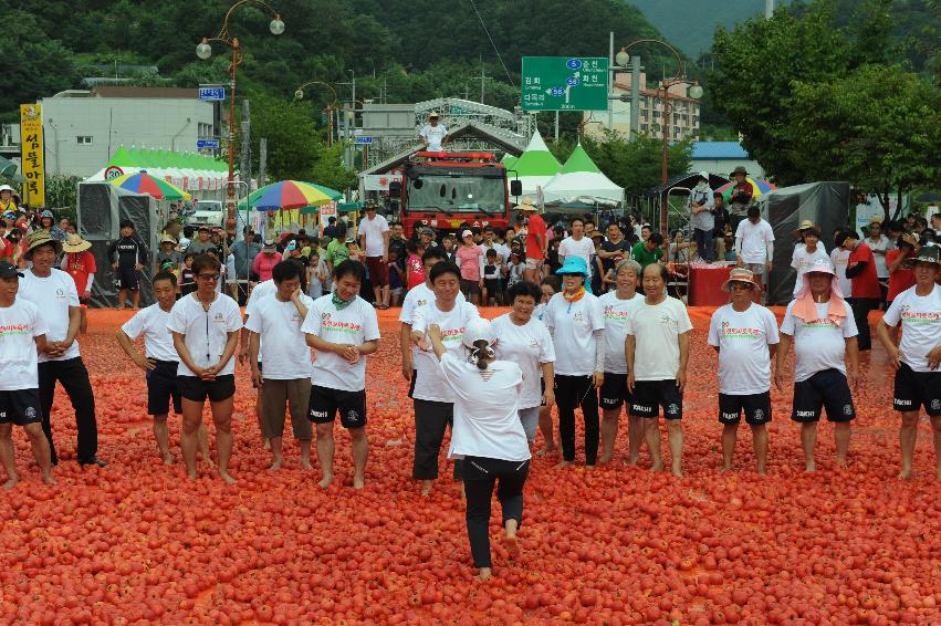 2016 화천토마토축제장 전경 의 사진