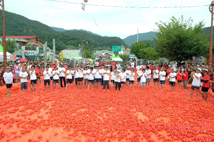 2016 화천토마토축제장 전경 의 사진