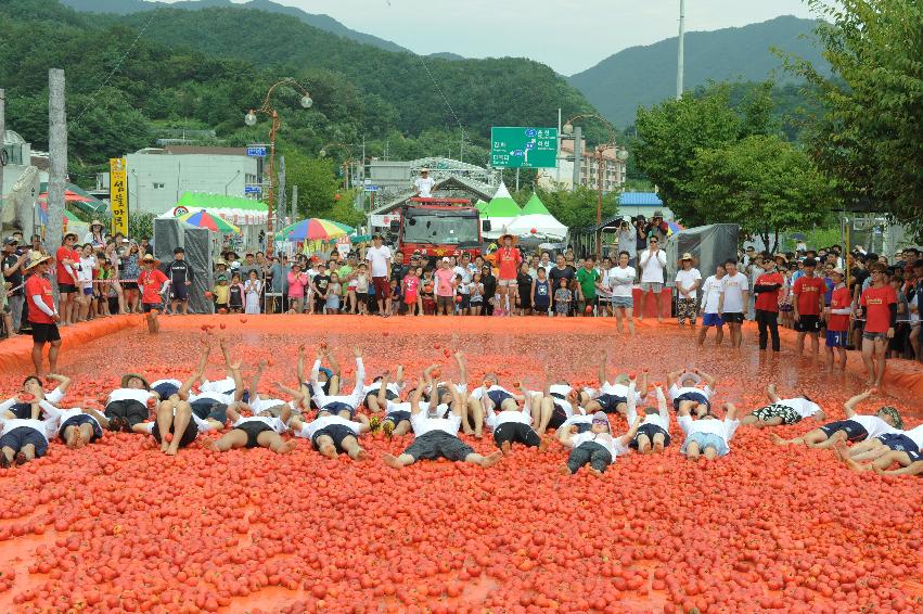 2016 화천토마토축제장 전경 의 사진