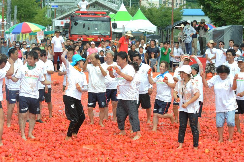 2016 화천토마토축제장 전경 의 사진