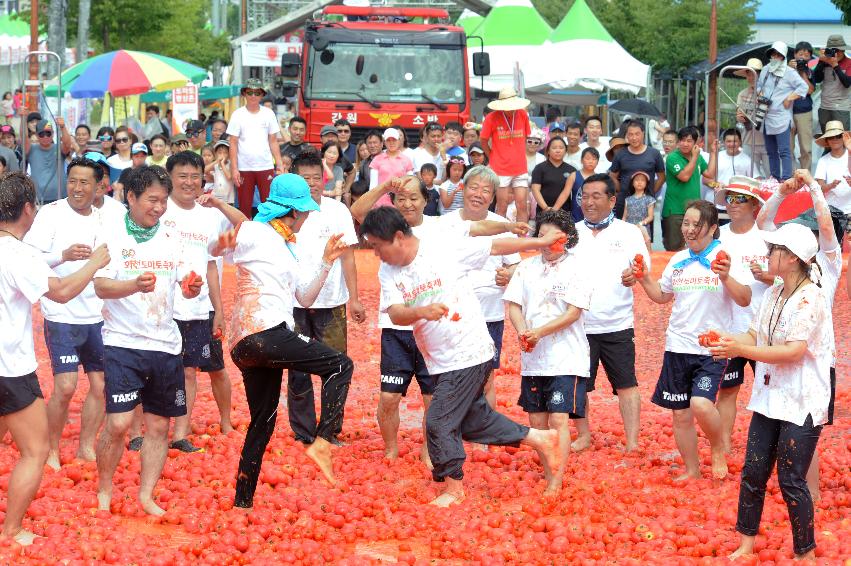 2016 화천토마토축제장 전경 의 사진