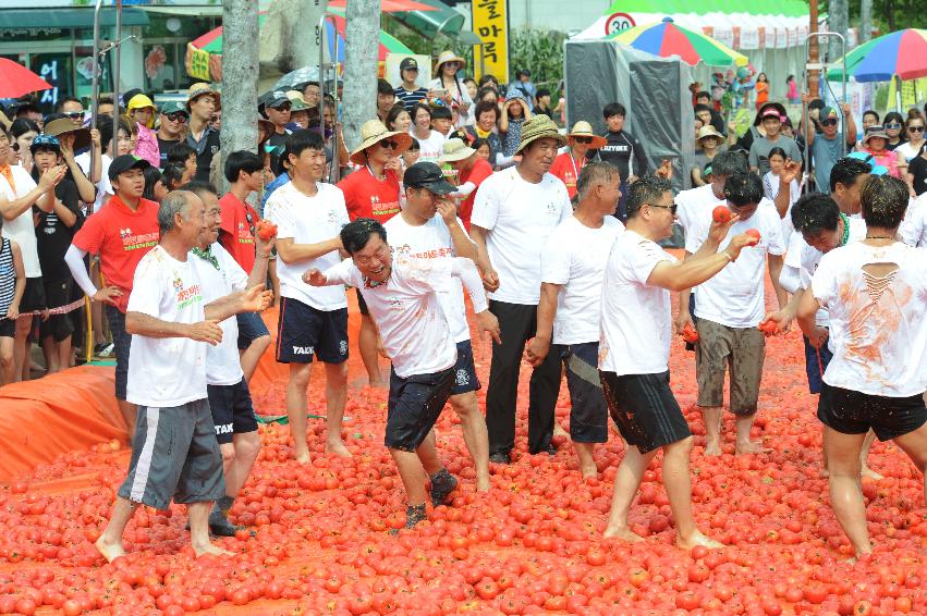 2016 화천토마토축제장 전경 의 사진