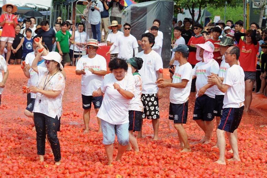 2016 화천토마토축제장 전경 의 사진