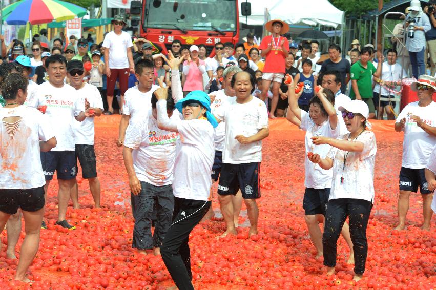 2016 화천토마토축제장 전경 의 사진