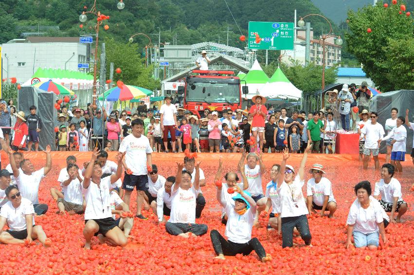 2016 화천토마토축제장 전경 의 사진