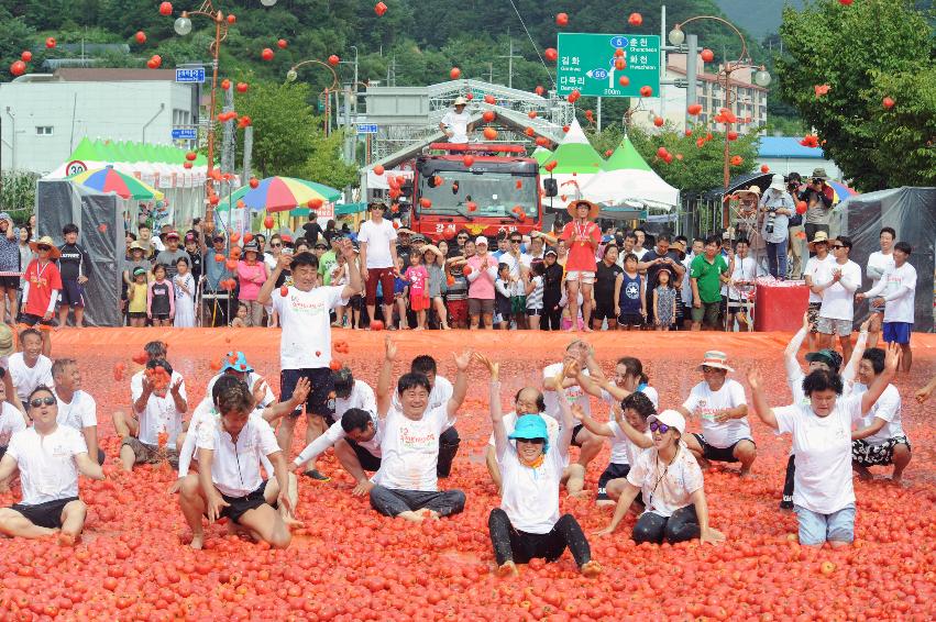 2016 화천토마토축제장 전경 의 사진