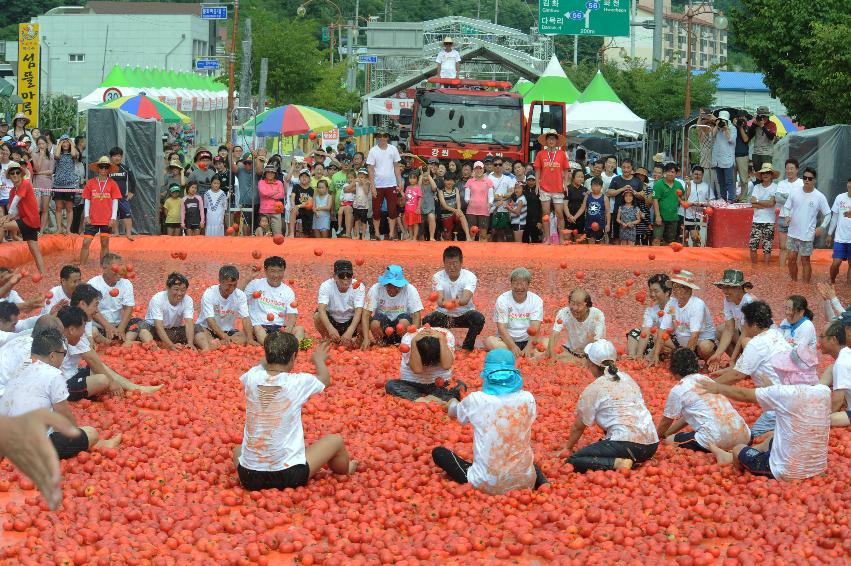 2016 화천토마토축제장 전경 의 사진